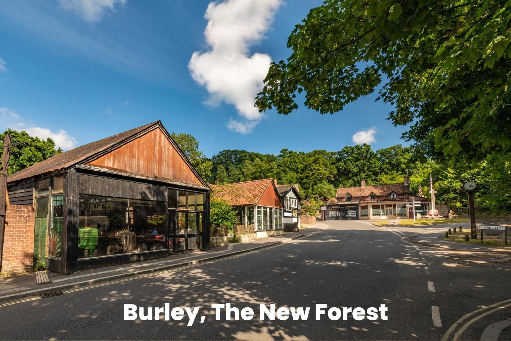 Cosy Retreat Near New Forest Ellingham  Dış mekan fotoğraf